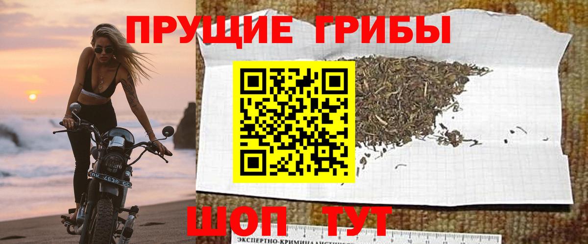 Псилоцибиновые грибы Magic Shrooms  Галлюциногенные грибы Cubensis  Аксай  Вход с VPN 